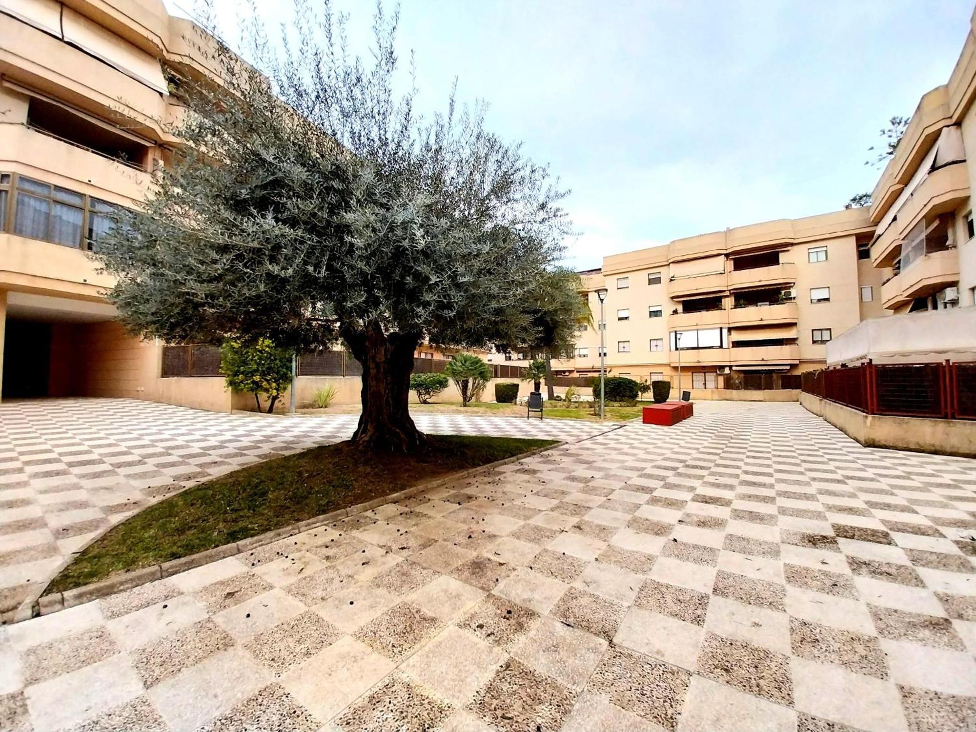 Top Suite Apartment Jerez Jardin Y Patio Jerez de la Frontera Zewnętrze zdjęcie