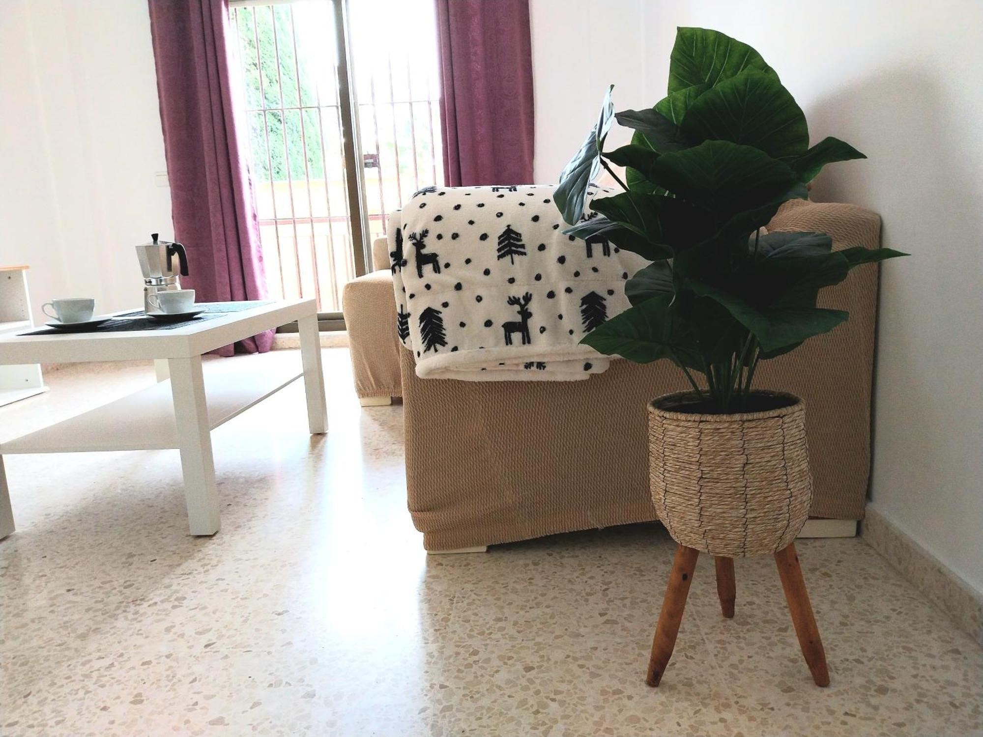 Top Suite Apartment Jerez Jardin Y Patio Jerez de la Frontera Zewnętrze zdjęcie